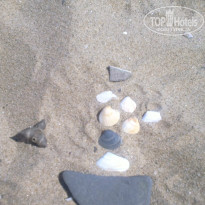 фото из отзыва ID 726906