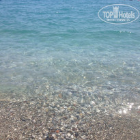 фото из отзыва ID 726924