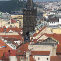 фото из отзыва ID 726447