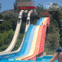 фото из отзыва ID 727429