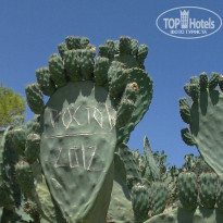 фото из отзыва ID 727429