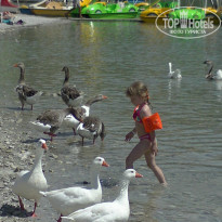 фото из отзыва ID 727429