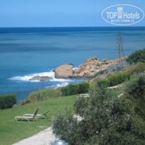 фото из отзыва ID 727119