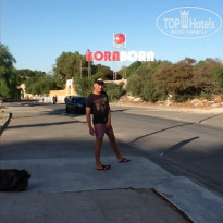 фото из отзыва ID 727310