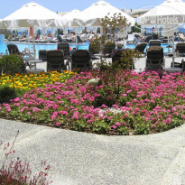 фото из отзыва ID 727315