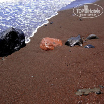 фото из отзыва ID 727576