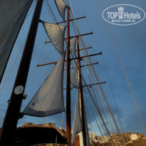 фото из отзыва ID 727576