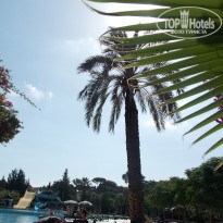 фото из отзыва ID 727882