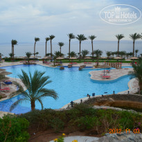 фото из отзыва ID 727885