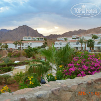 фото из отзыва ID 727885