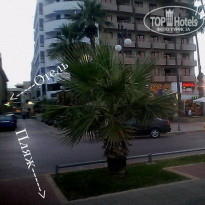 фото из отзыва ID 727970