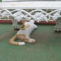 фото из отзыва ID 728269