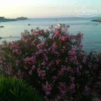 фото из отзыва ID 728073