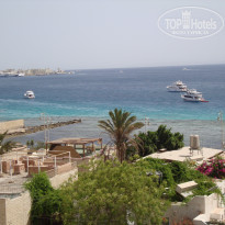 фото из отзыва ID 728112