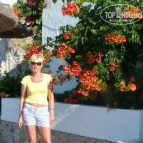 фото из отзыва ID 728212