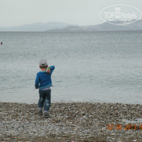 фото из отзыва ID 728237