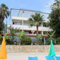 фото из отзыва ID 728309