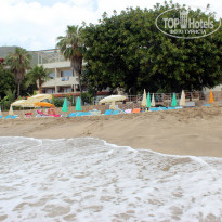 фото из отзыва ID 728309