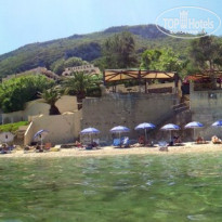 фото из отзыва ID 728623