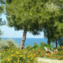 фото из отзыва ID 728652