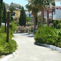 фото из отзыва ID 728652