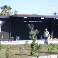 фото из отзыва ID 728675