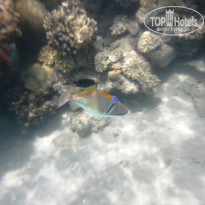 фото из отзыва ID 728691