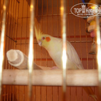 фото из отзыва ID 728728