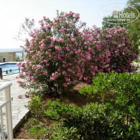 фото из отзыва ID 728728