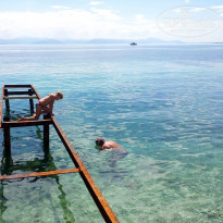 фото из отзыва ID 728623