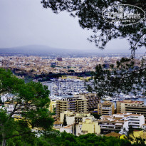 фото из отзыва ID 728994