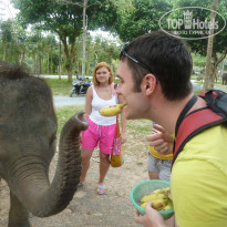 фото из отзыва ID 729119