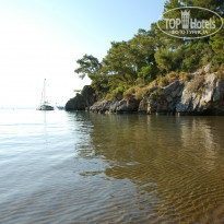 фото из отзыва ID 729125