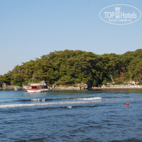 фото из отзыва ID 729125