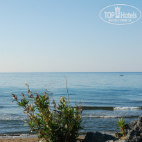 фото из отзыва ID 729125