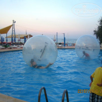 фото из отзыва ID 729145