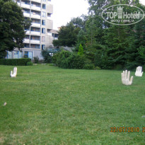 фото из отзыва ID 729145