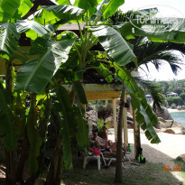 фото из отзыва ID 729237