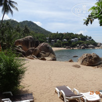 фото из отзыва ID 729237