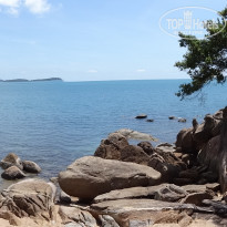 фото из отзыва ID 729237