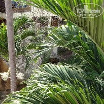 фото из отзыва ID 729237