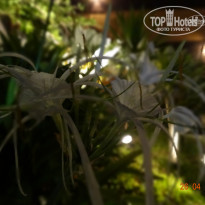 фото из отзыва ID 729237