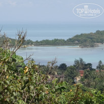 фото из отзыва ID 729237