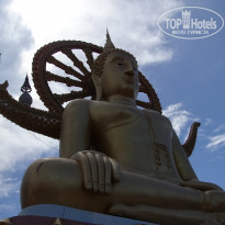 фото из отзыва ID 729237