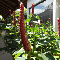 фото из отзыва ID 729237