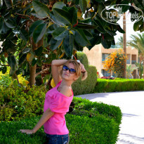 фото из отзыва ID 729555