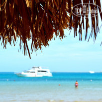 фото из отзыва ID 729555