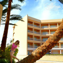 фото из отзыва ID 729555