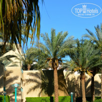 фото из отзыва ID 729555