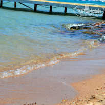 фото из отзыва ID 729555